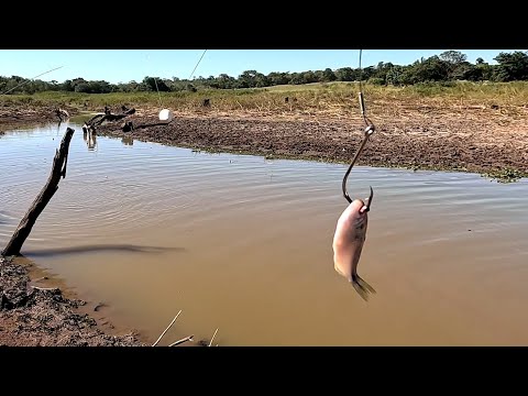 Pescaria Raiz fazia tempo que isso não acontecia só