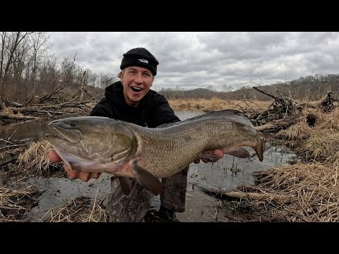 Fishing Backwater Swamps for Prehistoric Fish