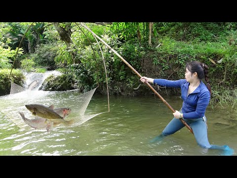 Amazing Cast Net Fishing Skill Catch Giant Fish - Awesome