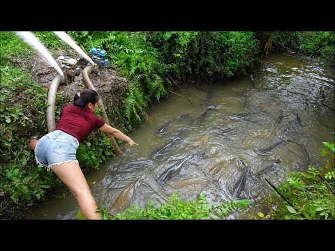 Hunting Wild Fish: Real Village Fishing Adventure, Most