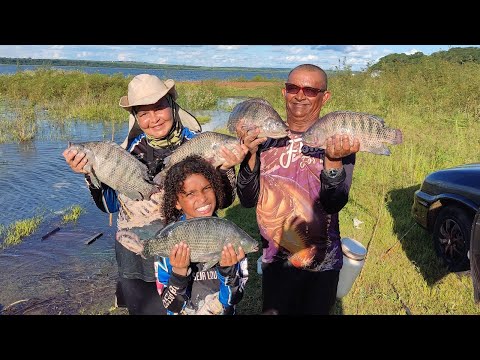 Pescaria caipira de Tilápias selvagens Gigantes no Rio
