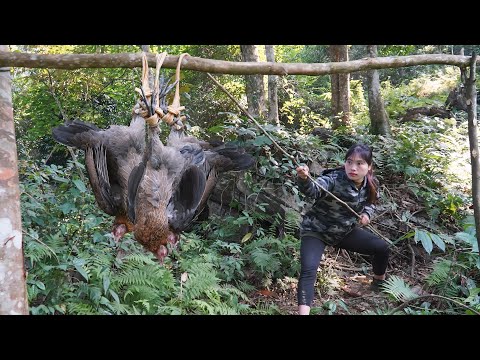 Survival Skills: Building a Natural Trap to Capture Wild