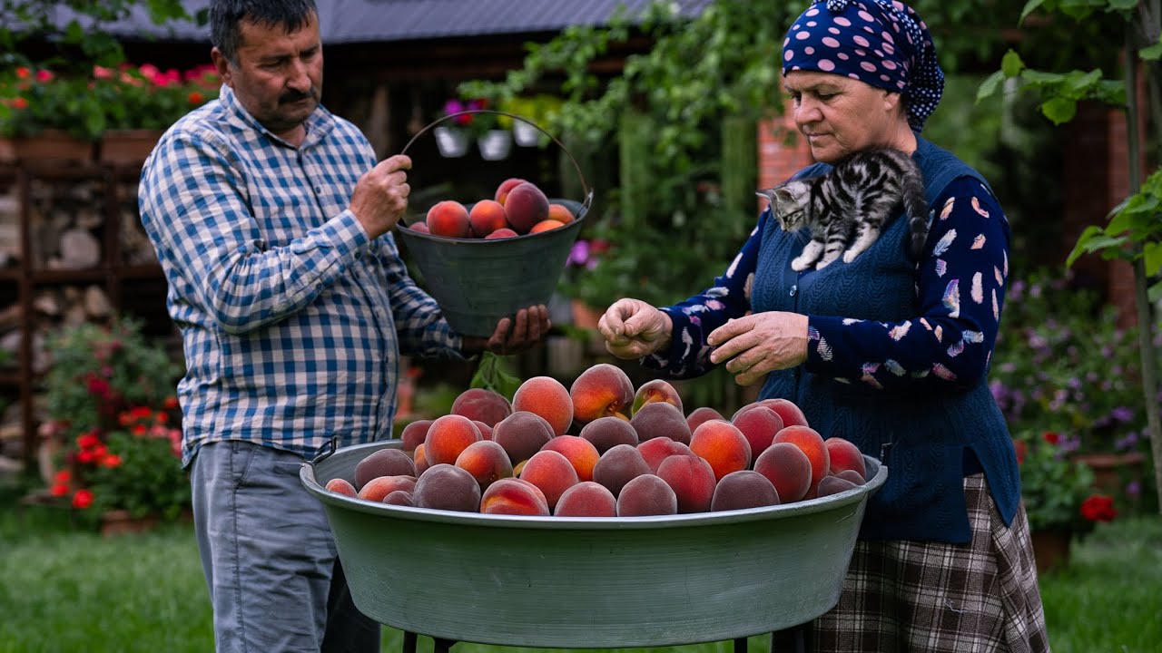 Peaches Harvesting and Making Natural Juice for Winter