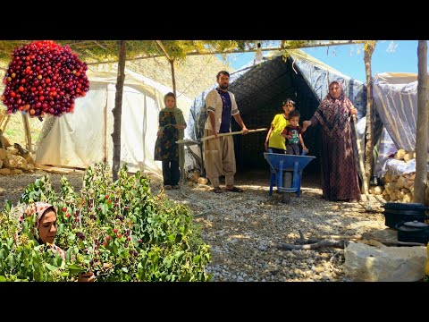 Turning Bare Ground Into Our Mountain Home Nomad Family