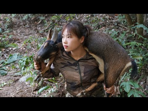 tracking wild goats, wild goat trapping skills, survival