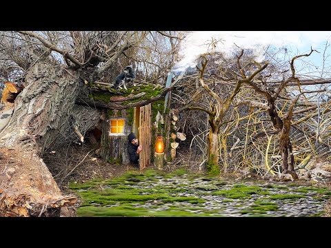 Building a secret shelter near a huge fallen tree Warm