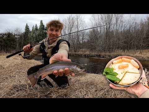 Fishing a Remote Creek in the Woods LOADED with Trout -