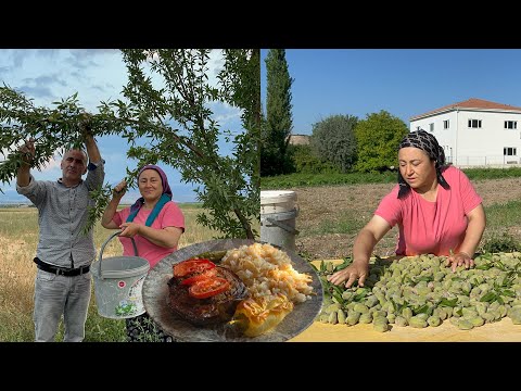 Topalak patlıcandan yok böyle bir lezzetBahçemizdeki