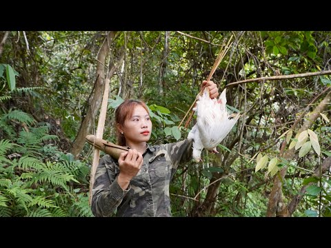 find new shelter, skills, survival alone, wilderness