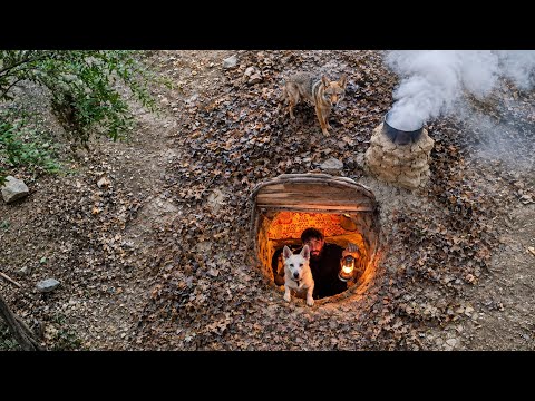 I Built a Secret Underground Survival Shelter for My Dog