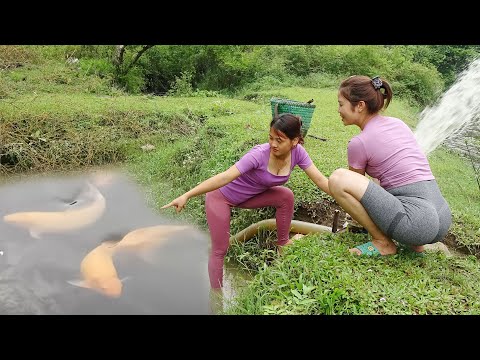 Full videos: Fishing techniques, How to catch fish in the