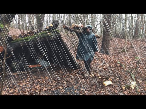 caught in a heavy rainforest under trees: survival shelter-