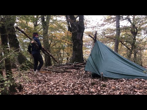 solo camping in forest: solo bushcraft in wilderness