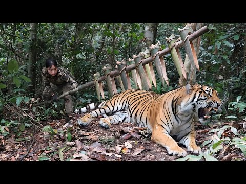 Discovering traces of wild animals and quickly setting
