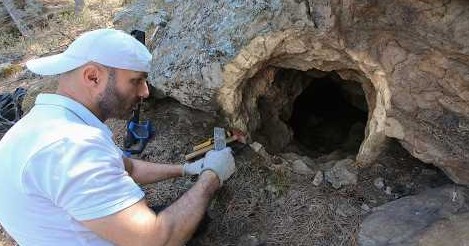 Define Arama Yaparken Sinyale Takılan Eser Paha biçilemez