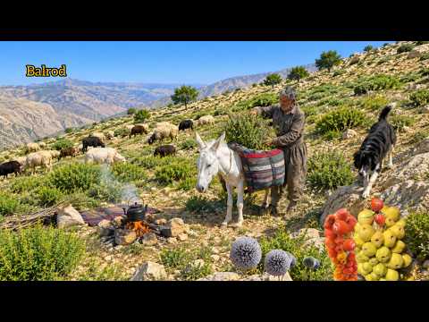 Nomads grazing their herds in pristine highlands; Jahangir
