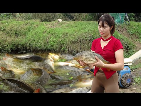 Wild Fishing Exciting / Fishing Techniques Helps Girl Catch