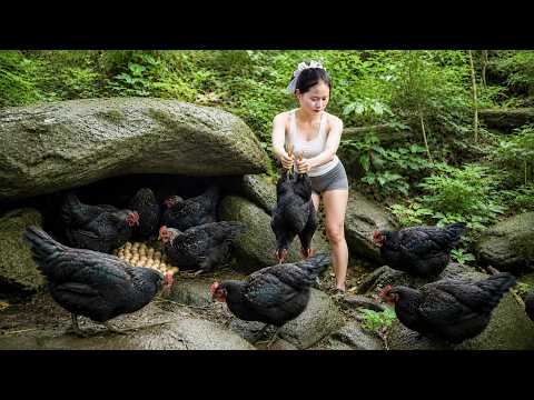 Harvesting Mutant Black Chicken in the Forest - Bringing to