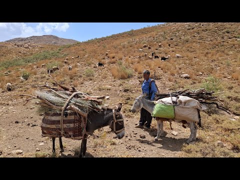 An exciting trip to the mountains: the story of bringing