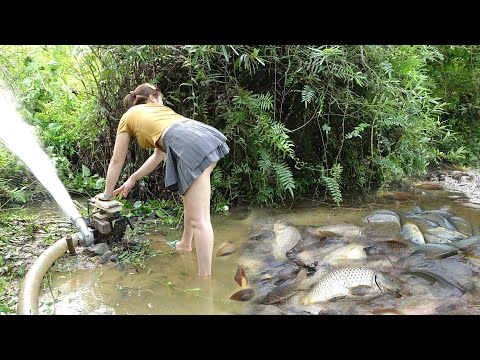 Greatest Fishing: How To Catch Fish In The Wild, Catch a