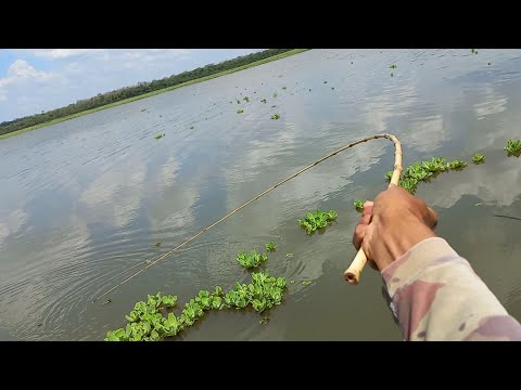 Tem coisas que só acontece uma vez na vida Pescaria no Rio