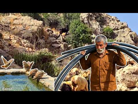 Why did the nomadic old man collect the pipes? Dedication