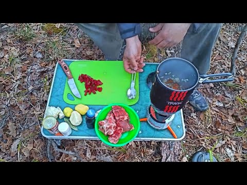 Bushcraft, solo overnight in the woods, cooking on the