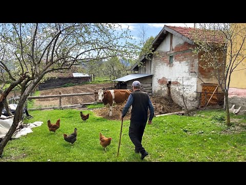 Köy Hayatı: Köyde Yaşayan İnsanlar - Belgesel