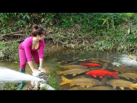 Fishing Video: Fishing in Rivers and Lakes, Used Bait To