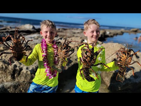 9 Days Fishing & Foraging in Hawaii - Lobster Diving +