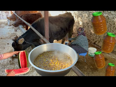 1 aydır arayıp bulamadığım ineği en sonunda buldum ‼Aykız