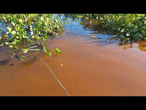 Pescaria caipira no caiaque na minhoca era um atrás do