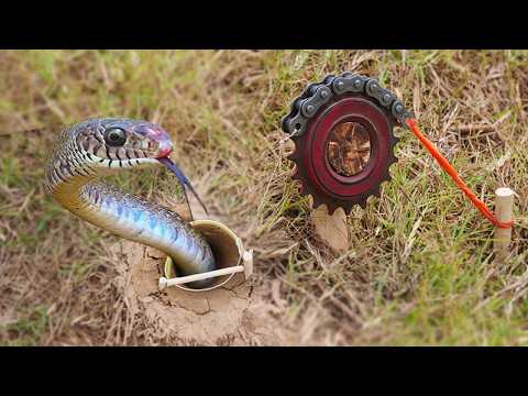 EASY SNAKE TRAP_ Installing Unique Quick Snake Trapping