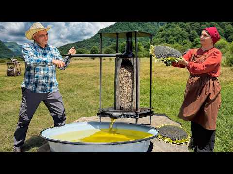 Harvesting Sunflowers and Making Homemade Oil in a Mountain