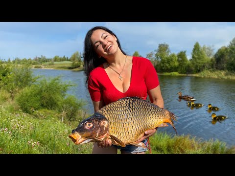 A Big Catch and a Great Taste of Carp for 10 Kg The Most