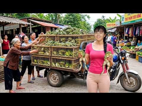 Buying A Huge Load Of Frogs From Farmer Woman 3-Wheeled