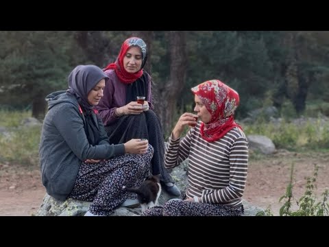 KARDEŞLER İLE YAYLA GEZİSİ FASULYE TOPLAMA