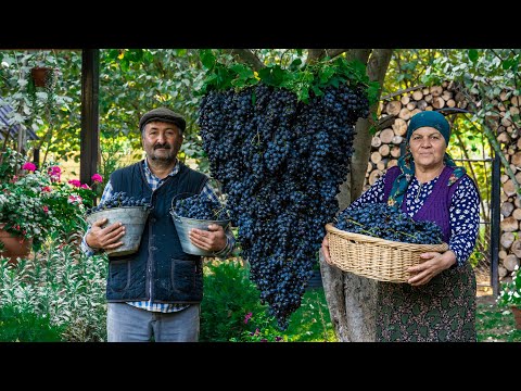 Discover How the REAL Grape Syrup Preparation in Azerbaijan