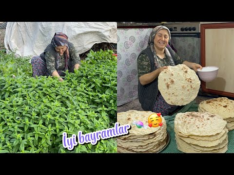 Nanelerimize bereket geldi ilk hasatLeğenler doldu taştı