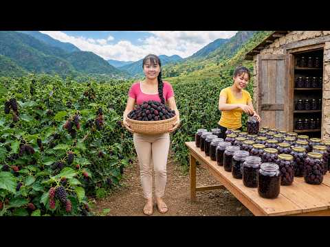 Harvesting Mulberries from a Thriving Garden Village
