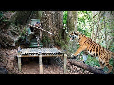 Wild animals attack, build new shelter in tree hollow,