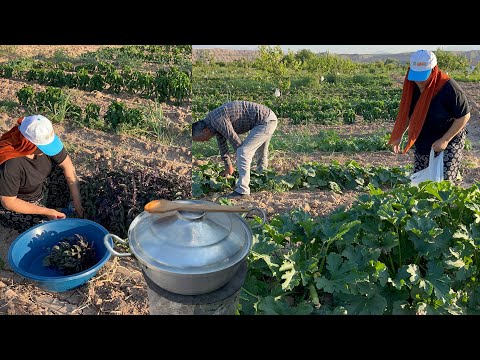 Odun ateşinde teneke sobamızda yeşil fasulye