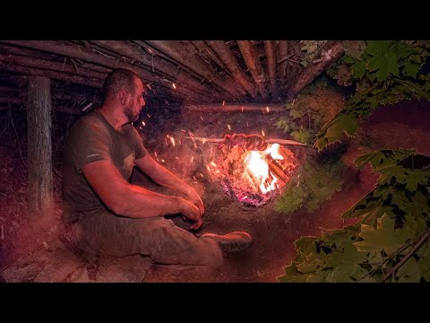 I'M BUILDING A SHELTER WITH A KNIFE SOLO SURVIVAL IN THE