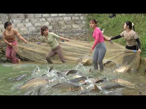 The Girls In The Countryside Pulled Nets To Harvesting Big