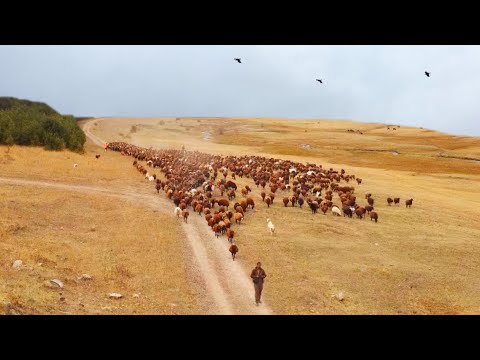 KAR GELİYOR DAĞLARDAN İNİYORUZ(20 gün)