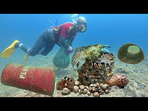 Phát Hiện Cái Thùng Bí Ẩn Dưới Biển Sâu Và Nhiều Loại Hải
