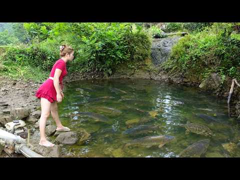 Fishing Video: Fishing Techniques, Catching A Lot Of Fish