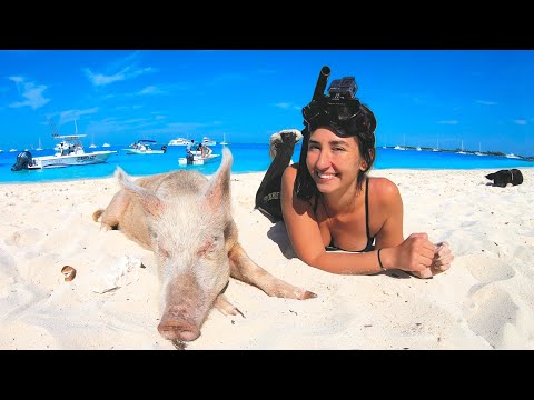Metal Detecting Bahamas Most Popular Beach (HUGE Diamond