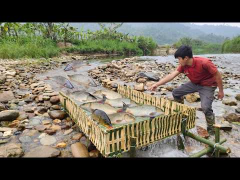 The full video of Lam's 30-day fishing trip and the