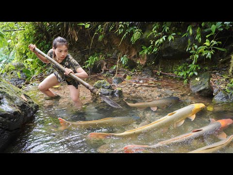 skills, stream fishing, construction, life, farm, survival,